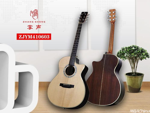掌聲音樂器 以品牌戰(zhàn)略驅(qū)動(dòng)，布局千萬級市場新藍(lán)圖